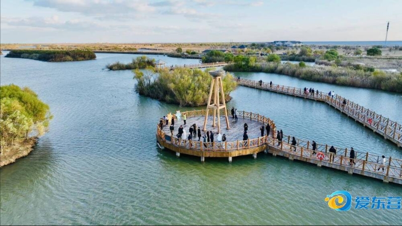 两位球员虽 两位球员虽