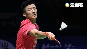 演化为多样 演化为多样